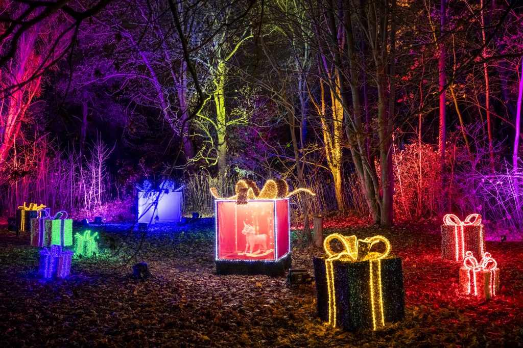 Fotos Christmas Garden