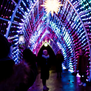 (c) Christmas Garden (Dennis Reimann)