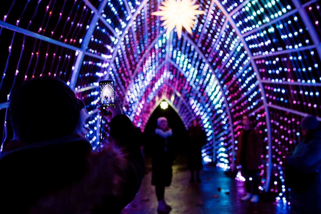 (C) Christmas Garden - Dennis Reimann