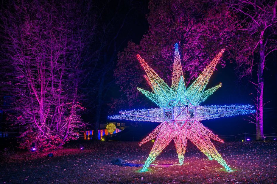 Die Insel Mainau leuchtet wieder: Der Christmas Garden startet bald in seine sechste Saison